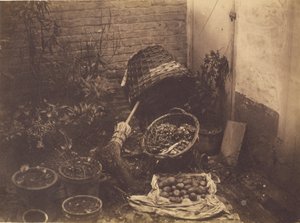[Bodegón con cestas de paja, escoba, saco de patatas abierto y plantas en maceta]. de Henri Victor Regnault