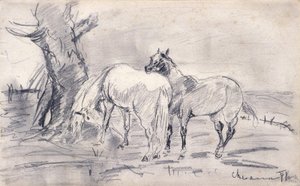Caballos