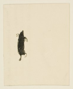 Colofón de Au Pied du Sinaï de Henri de Toulouse-Lautrec