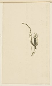 Colofón de Au Pied du Sinaï