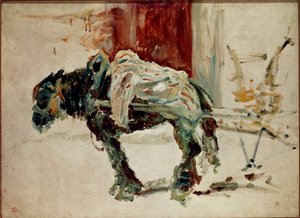 Caballo de Celeyran