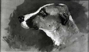 Cabeza de un perro con orejas cortas, 1879 de Henri de Toulouse Lautrec