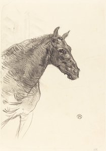 El viejo caballo de Henri de Toulouse Lautrec