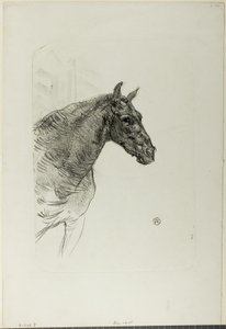 Philibert el pony de Henri de Toulouse Lautrec