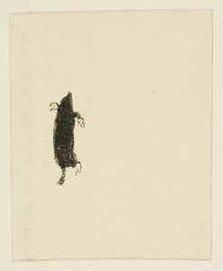 Colofón de Au Pied du Sinaï de Henri de Toulouse Lautrec