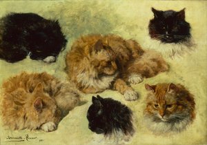 Estudios de gatos de Henriëtte Ronner Knip