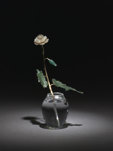 Flor blanca de Henrik Wigstrom