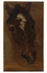 Cabeza de caballo de Henriëtte Ronner