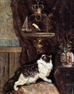 Gato espiando a un pájaro en una jaula