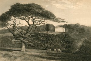 Colina del Molino de Viento de Henry Alexander Ogg
