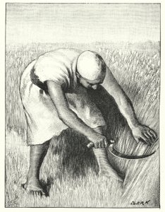 Cosechando en el Este de Henry Andrew Harper
