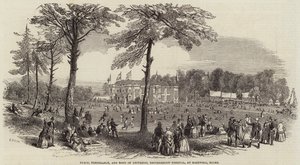 Festival de Paz, Templanza y Hermandad Universal, en Hartwell, Bucks de Henry Anelay