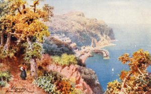 Clovelly, desde Hobby Drive (litografía en color) de Henry B. (after) Wimbush