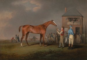 Quiz, tras su última carrera en Newmarket de Henry Bernard Chalon