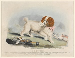 Sancho, Batalla de Salamanca, 1812