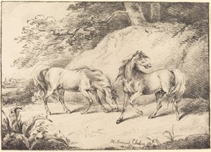 Caballos salvajes