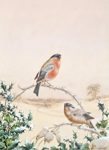 Escena de invierno con pinzón y acebo de Henry Bright
