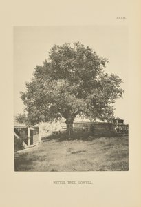 Ortiga, Lowell de Henry Brooks