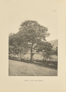 Sociedad Oak, Charlemont de Henry Brooks