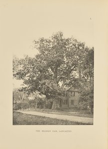 El roble de Beaman, Lancaster de Henry Brooks