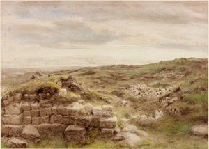 Housesteads de Henry Burdon Richardson