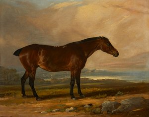 Estudio de un cazador de bahía en un paisaje de Henry Calvert