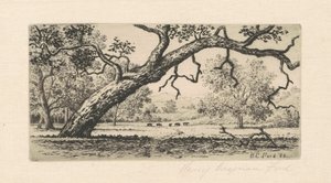 Paisaje de California, 1888