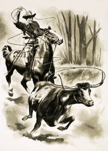 Un vaquero atrapa un novillo desde el caballo con un lazo