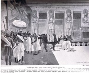Cambises mata al Toro Sagrado, ilustración de 