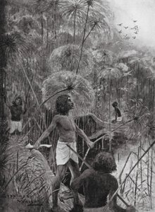 Matar pájaros en las marismas (litografía) de Henry Charles Seppings Wright