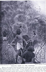 Cazando aves en los pantanos, c.1920 de Henry Charles Seppings Wright