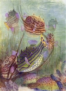 El Pez Cofre de los Mares de Coral de Henry Charles Seppings Wright