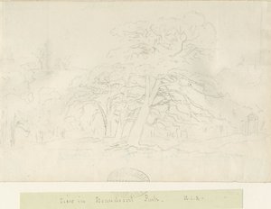 Parque Beaudesert: dibujo a lápiz, nd [1788-1855] de Henry Curzon Allport