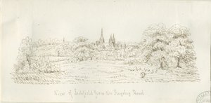 Lichfield - Vista Norte (distante) de Henry Curzon Allport
