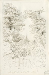 Catedral de Lichfield - Vista Sureste (distante) de Henry Curzon Allport