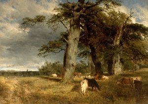 Paisaje en los Dukeries, Nottinghamshire, 1850 de Henry Dawson