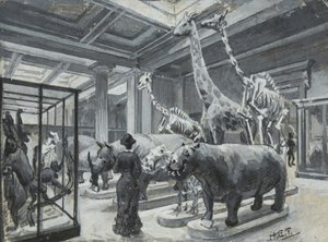 Vista interior del Museo Británico mostrando la galería con exhibiciones de animales, c.1880 de Henry Edward Tidmarsh