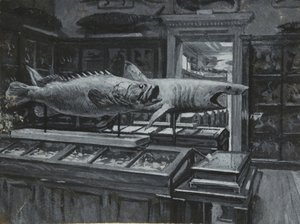 Vista interior del Museo Británico mostrando la galería de exhibiciones de peces, c.1880 de Henry Edward Tidmarsh