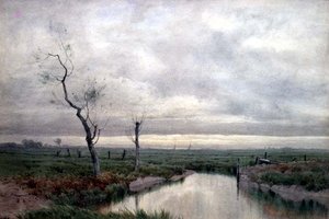 Pantanos costeros de Henry Farrer