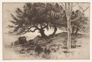 Cerca del mar de Henry Farrer