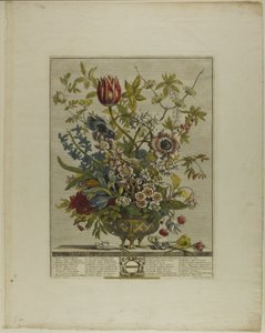 Febrero, de Los doce meses de flores de Henry Fletcher