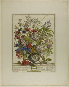 Julio, de Doce meses de flores de Henry Fletcher