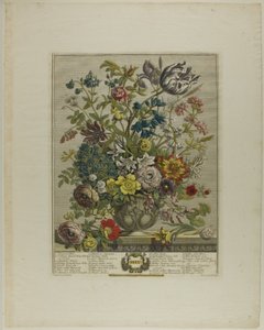 Mayo, de Doce meses de flores de Henry Fletcher