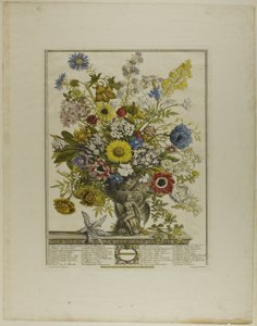 Noviembre, de Doce Meses de Flores de Henry Fletcher