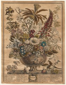 Doce meses de flores: diciembre de Henry Fletcher