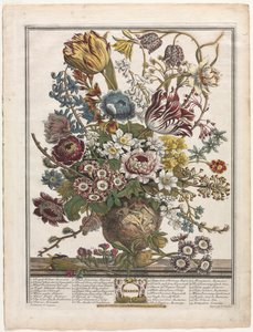 Doce Meses de Flores: Marzo, 1730