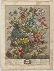 Doce Meses de Flores: Mayo, 1730