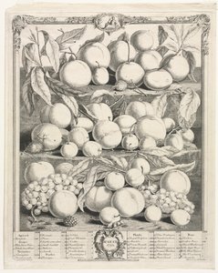 Doce meses de frutas: Agosto de Henry Fletcher