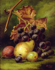 Naturaleza muerta de Henry George Todd