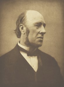 William Edward Hartpole Lecky, c. 1893 de Henry Herschel Hay Cameron